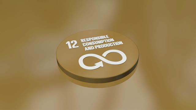 国連持続可能な開発目標（SDG）12のアイコン – 「つくる責任 つかう責任」。誘導加熱を用いた持続可能な産業製造に対するENRXのコミットメントを表しています。