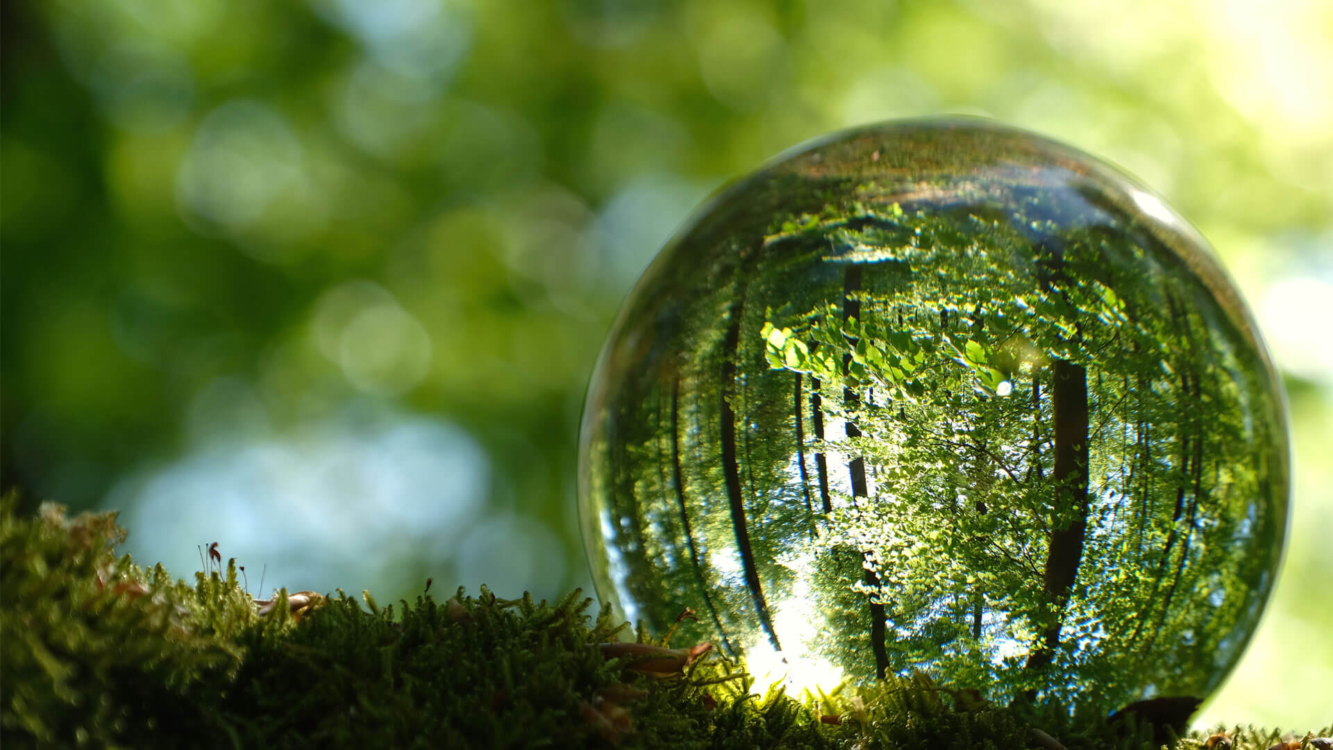 At ENRX we are serious about our Environmental, Social and Governance (ESG) responsibilities. 